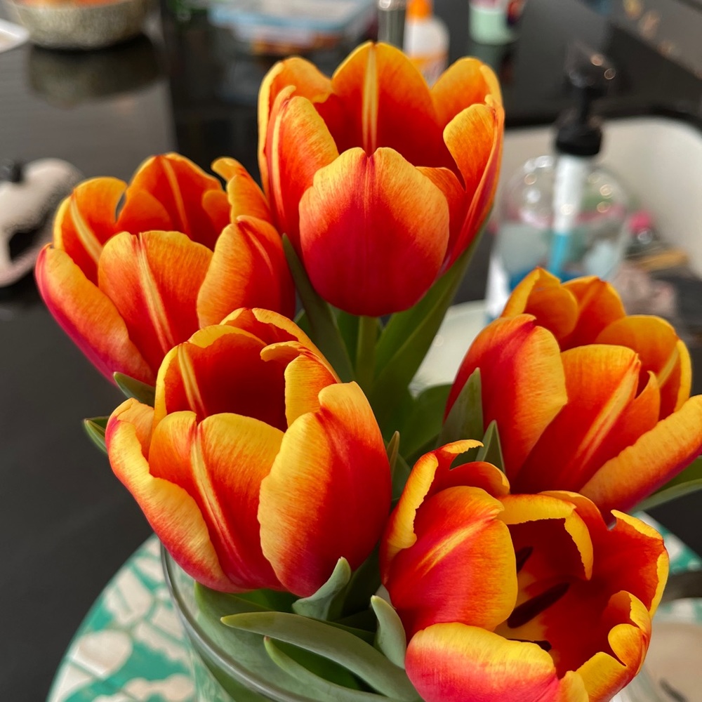 Meet your Posher, Roberta